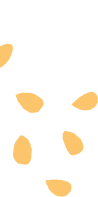 Seeds image